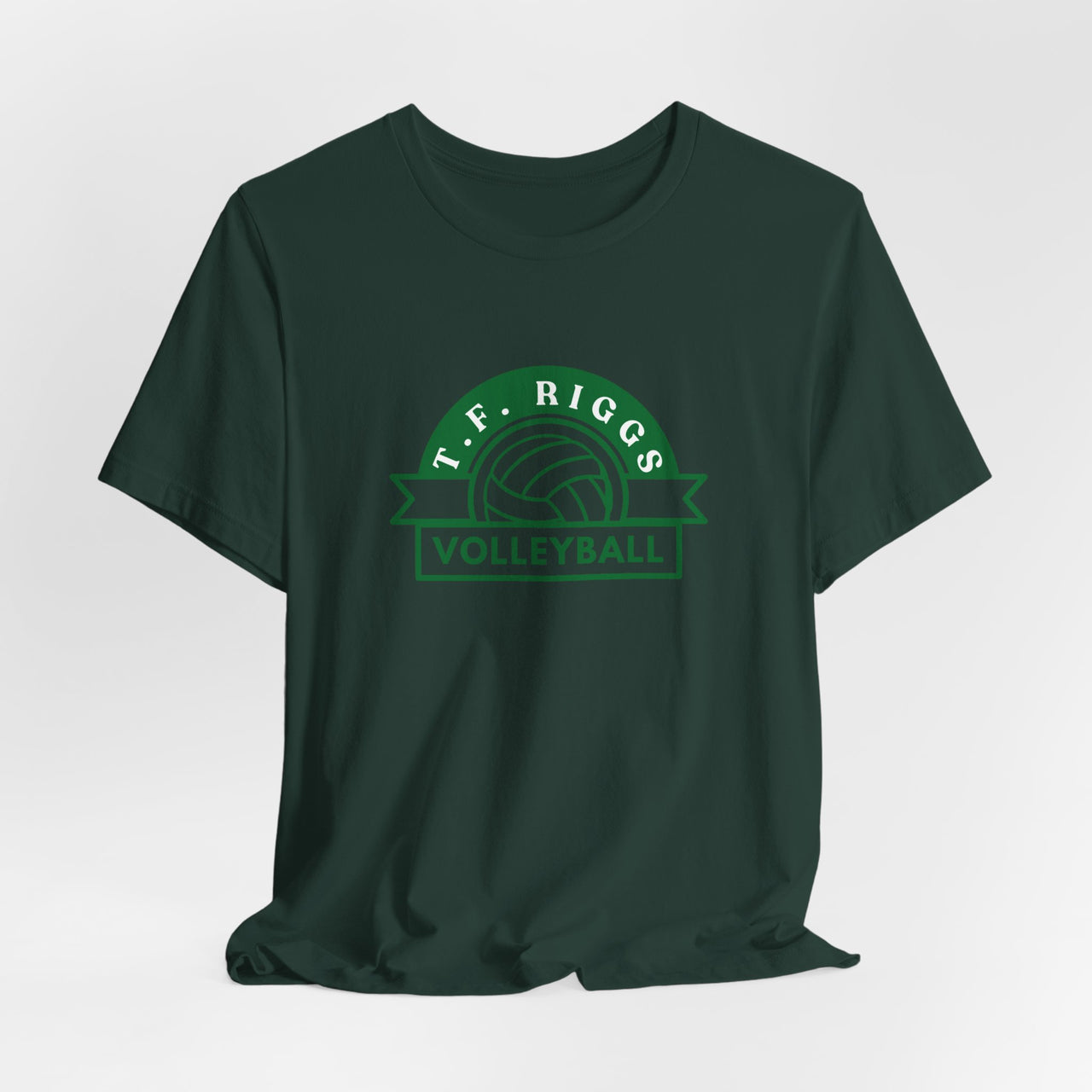 T.F. Riggs Volleyball V4 2.0 Colored