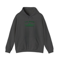 Thumbnail for T.F. Riggs Volleyball Spirit Wear Hoodie