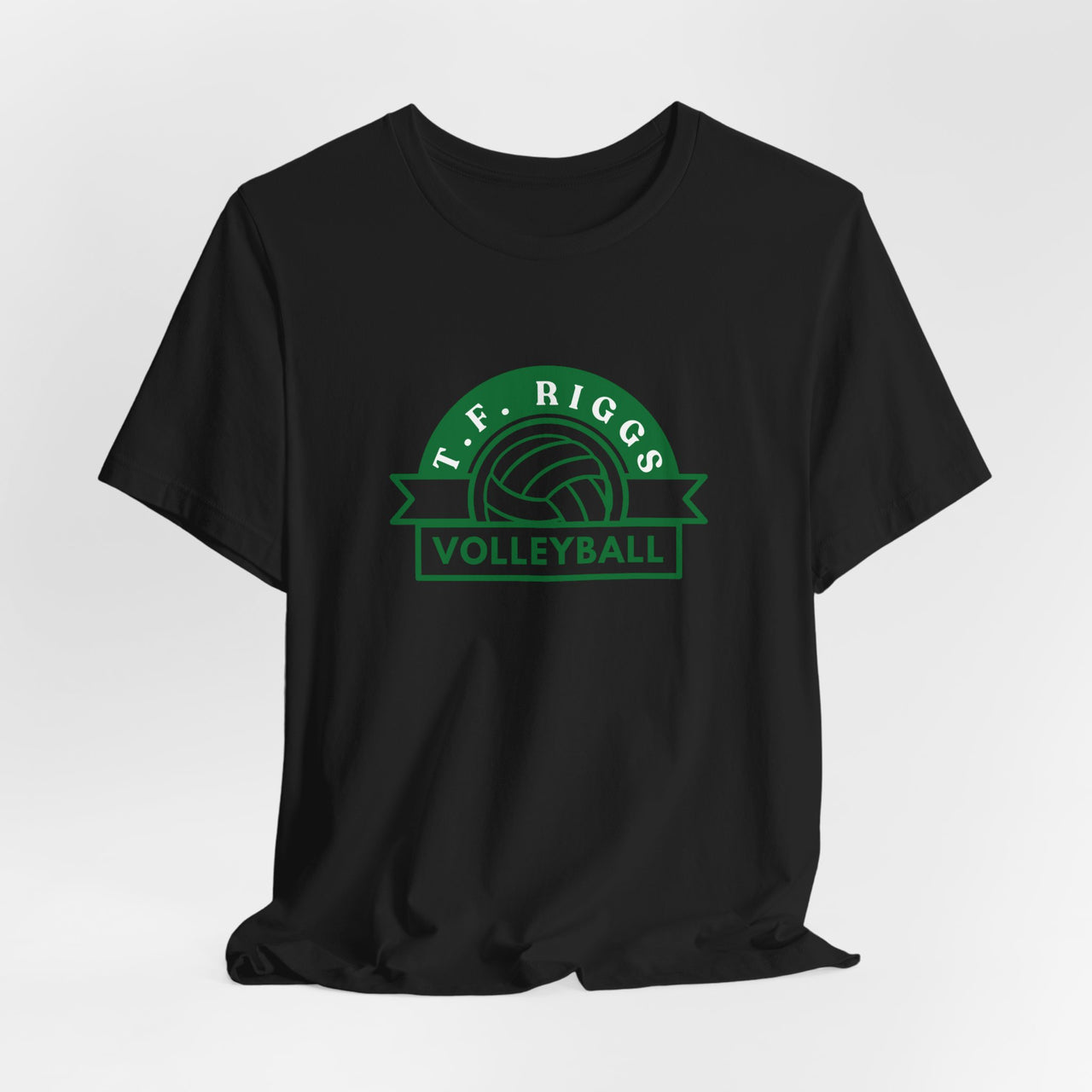 T.F. Riggs Volleyball V4 2.0 Colored