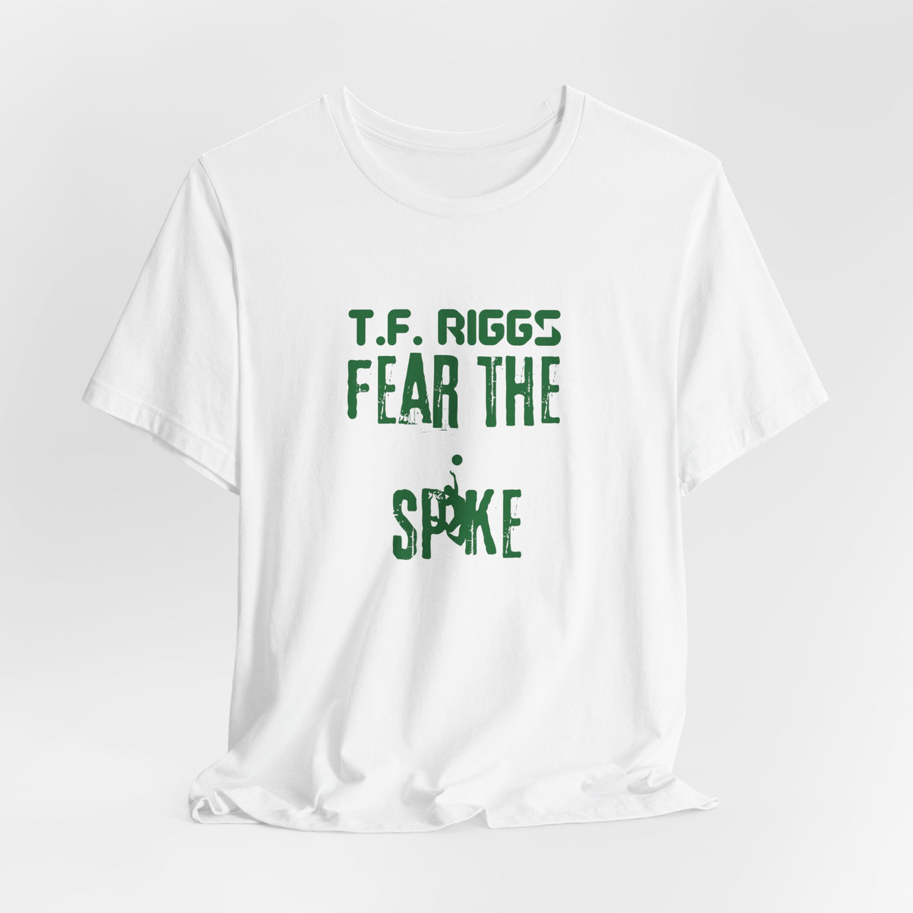 T.F. Riggs Volleyball V5 Colored