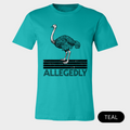 allegedly teal shirt - bw