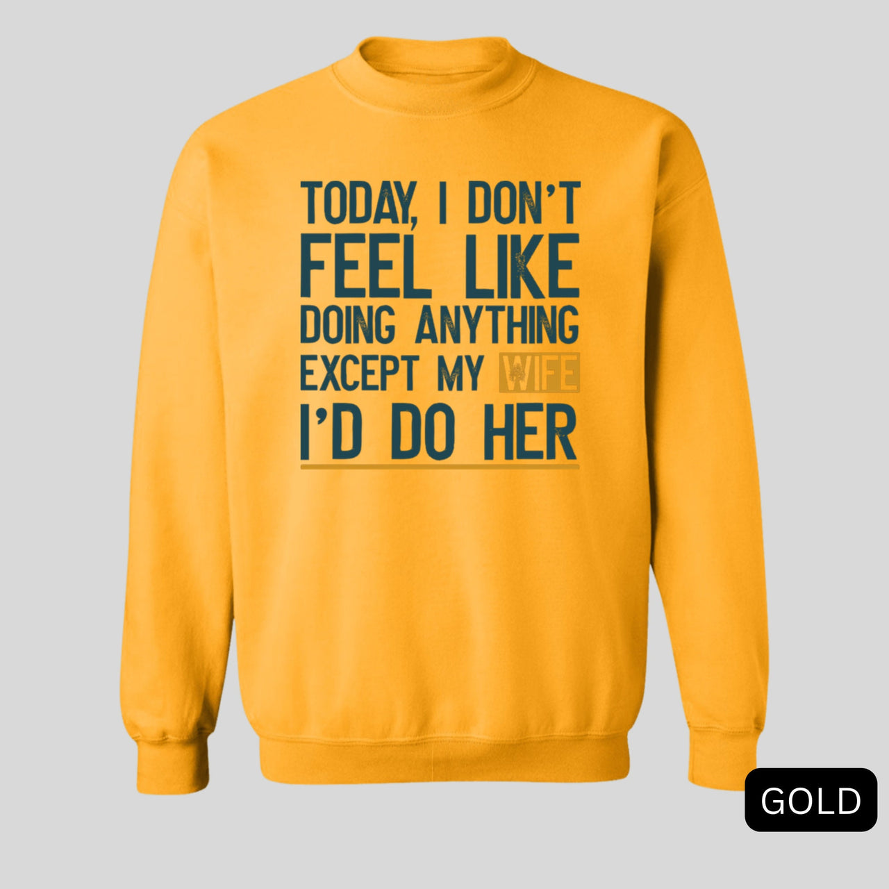 Today I Don't Feel Like Doing Anything Except My Wife I'll Do Her Sweatshirt