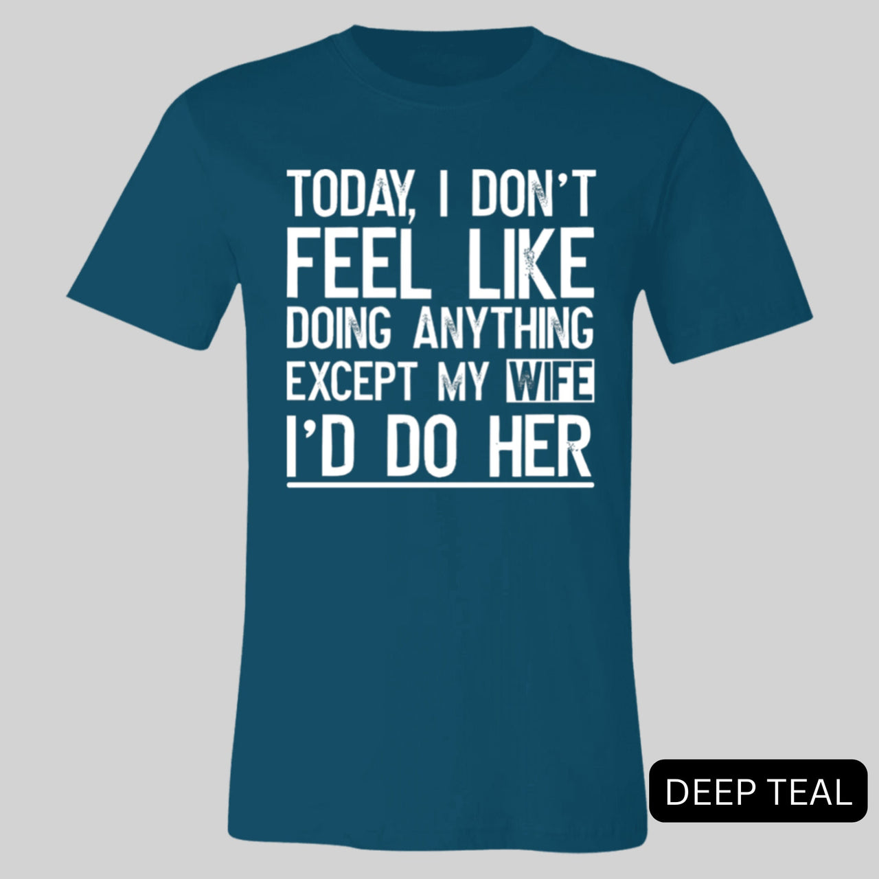 Today I Don't Feel Like Doing Anything Except My Wife I'll Do Her Shirt